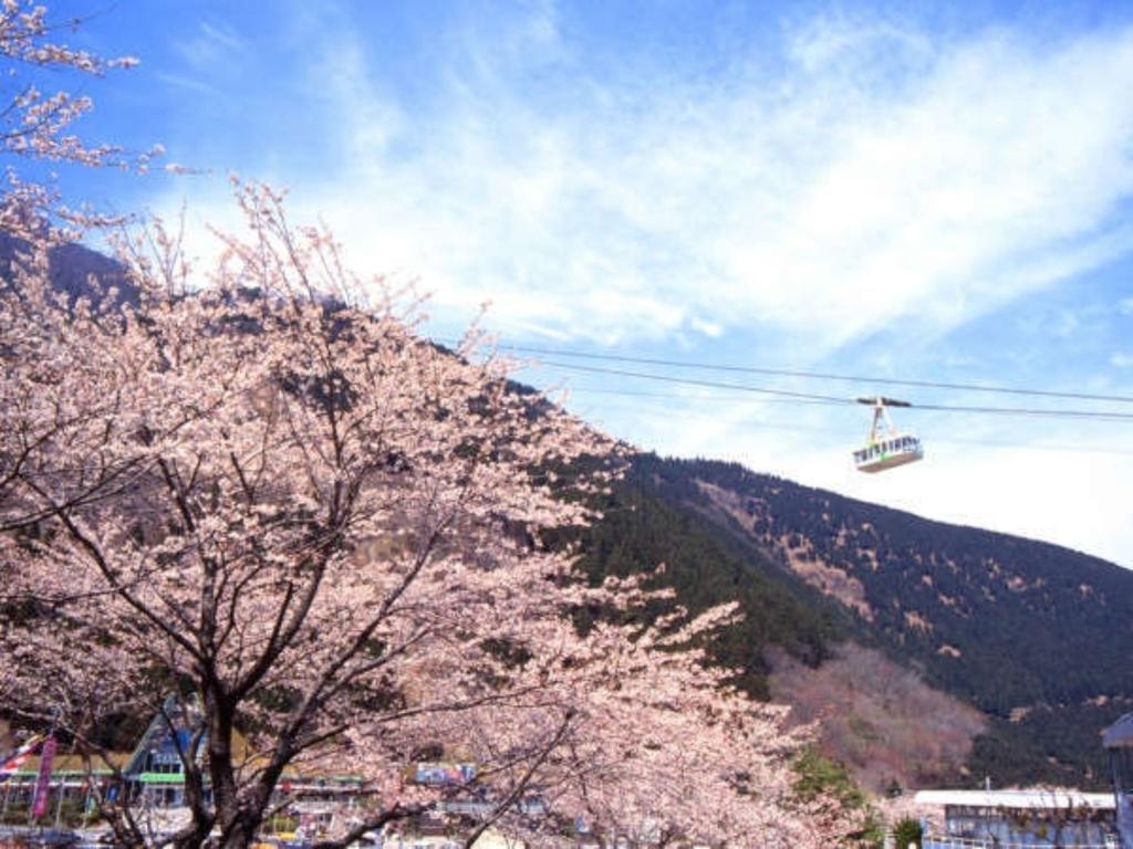 ホテル かんなわ荘 別府市 エクステリア 写真